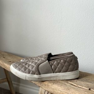 Steve Madden Women's Ecentrcq Sneaker